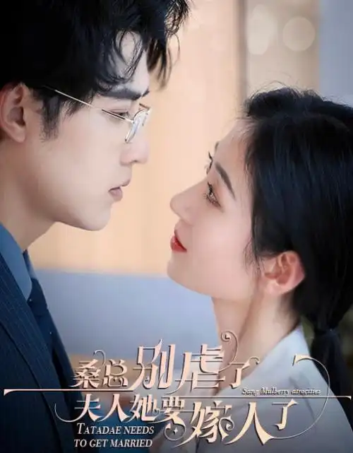 长夜将明热播电视剧全集